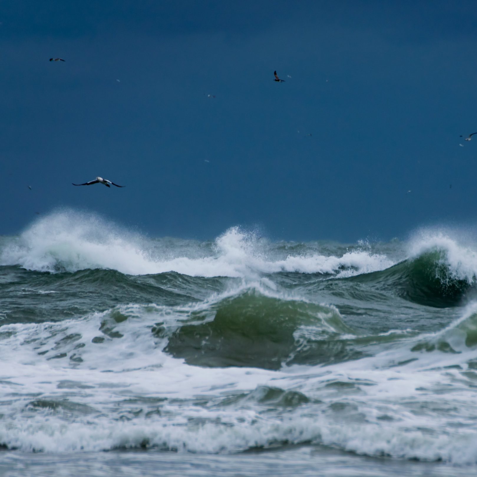 stormy waves